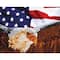 Diamond Dotz® Advanced Bald Eagle & Flag Diamond Painting Kit